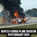 Small Plane Crashes, Bursts into Flames on I-75 near Naples